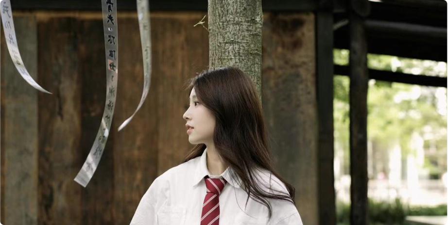 Intelligent Portrait Processing